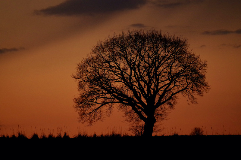 f00003 imgp6173 lo res