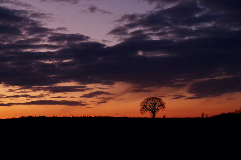 f00004 imgp6184 lo res