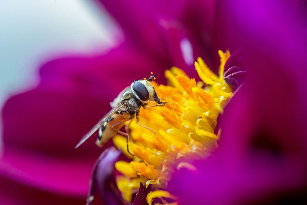 p0011 d483 05 lo res