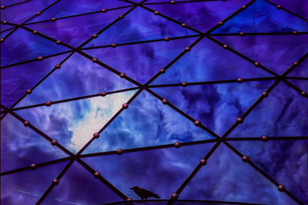 p0012 224 03a lo res