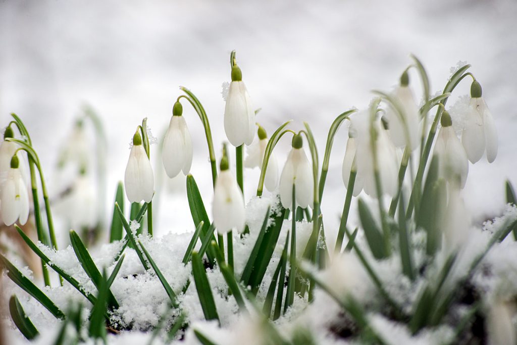 p0015 d402 05 lo res