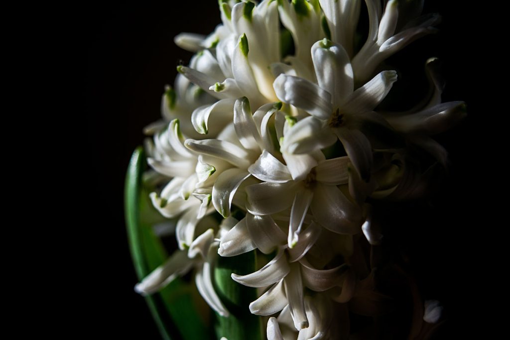 p0016 d402 02 lo res