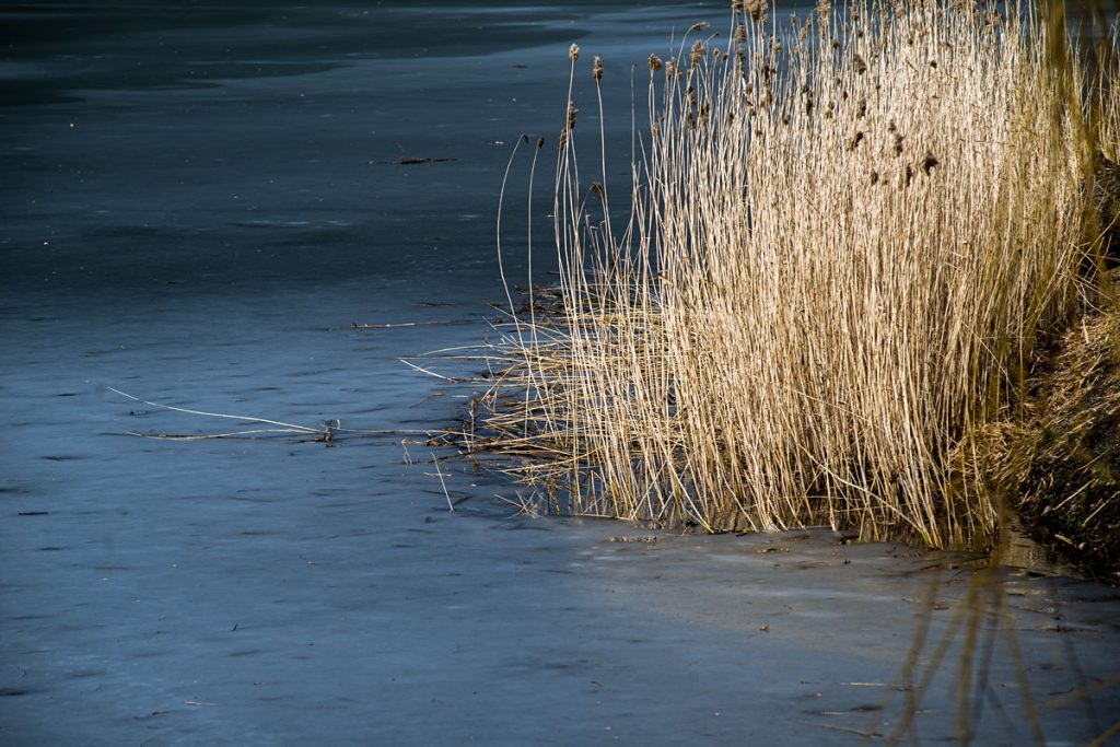 p0017 d403 24 lo res