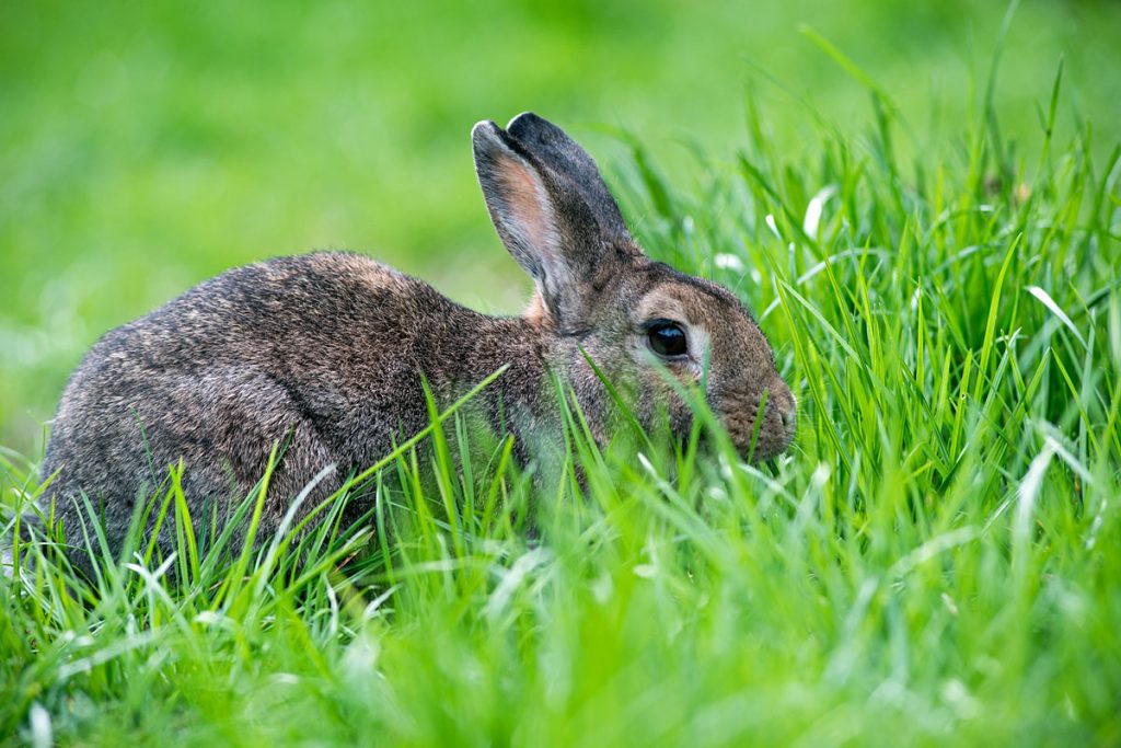 p0019 d404 13 lo res