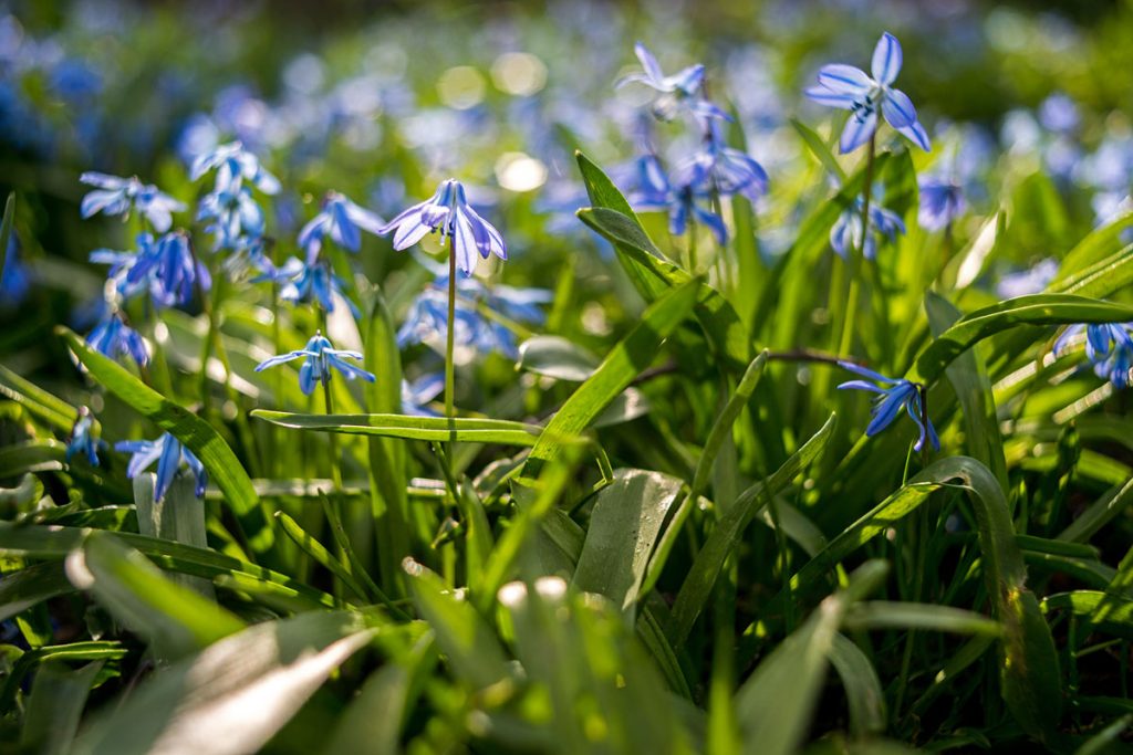 p0020 d404 44 lo res