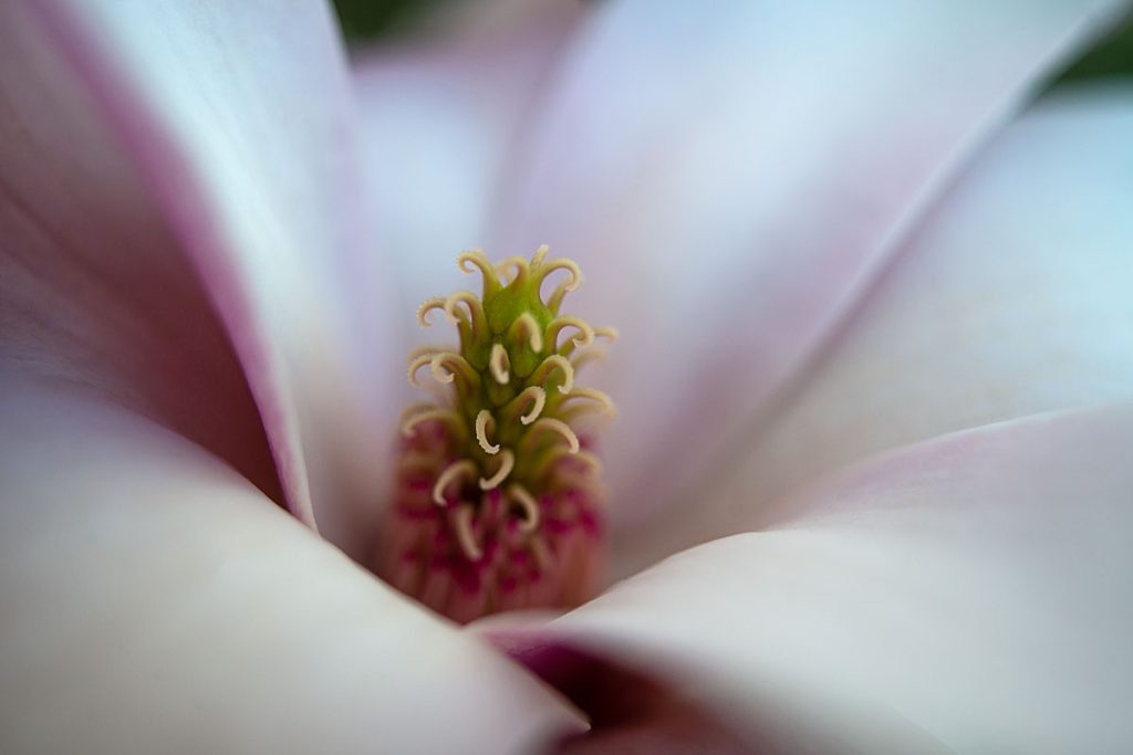 p0023 d407 56 lo res