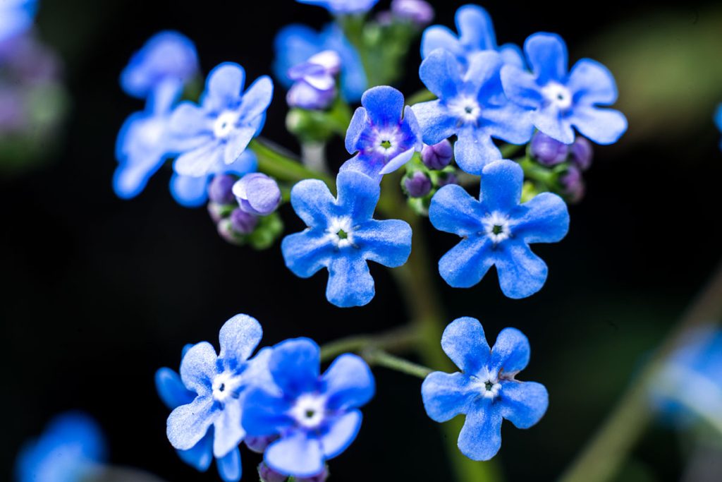 p0025 d409 09 lo res