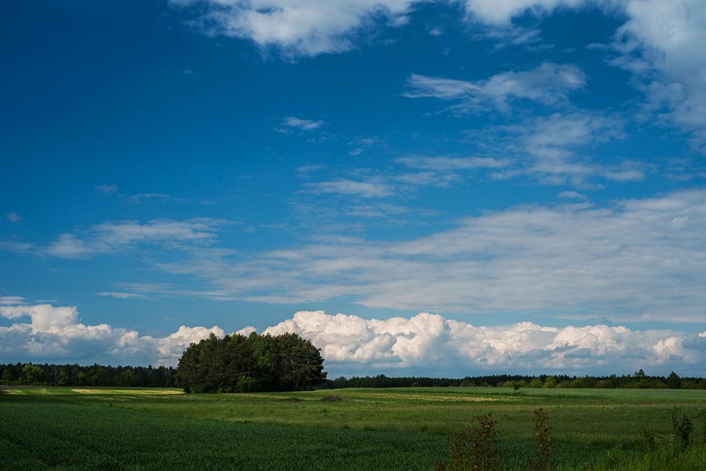 p0027 d409 27 lo res