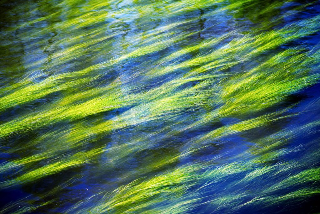 p0029 d410 06 lo res