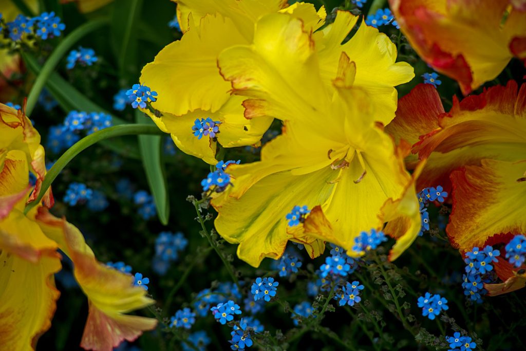 p0033 d412 20 lo res