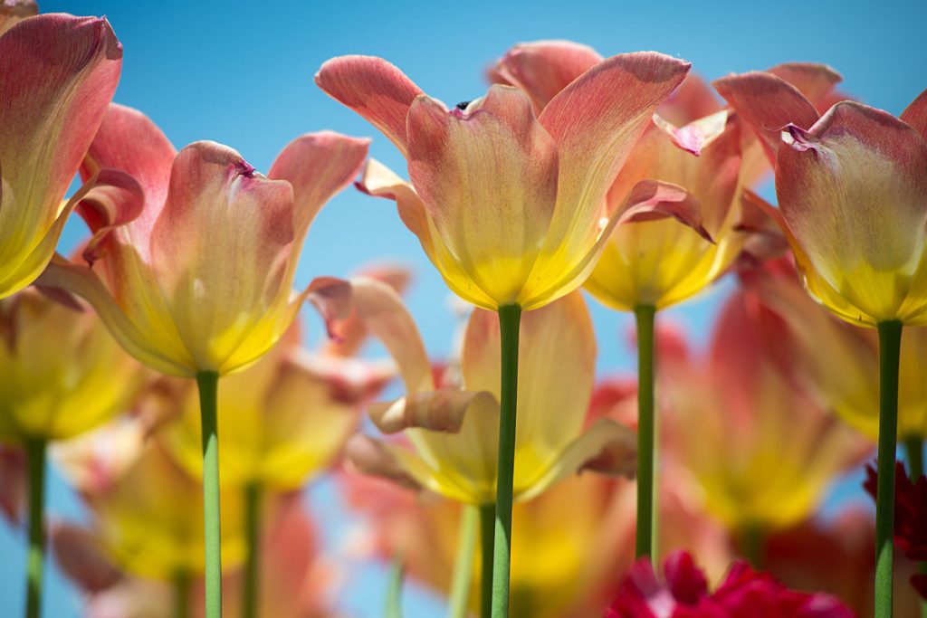 p0034 d412 28 lo res