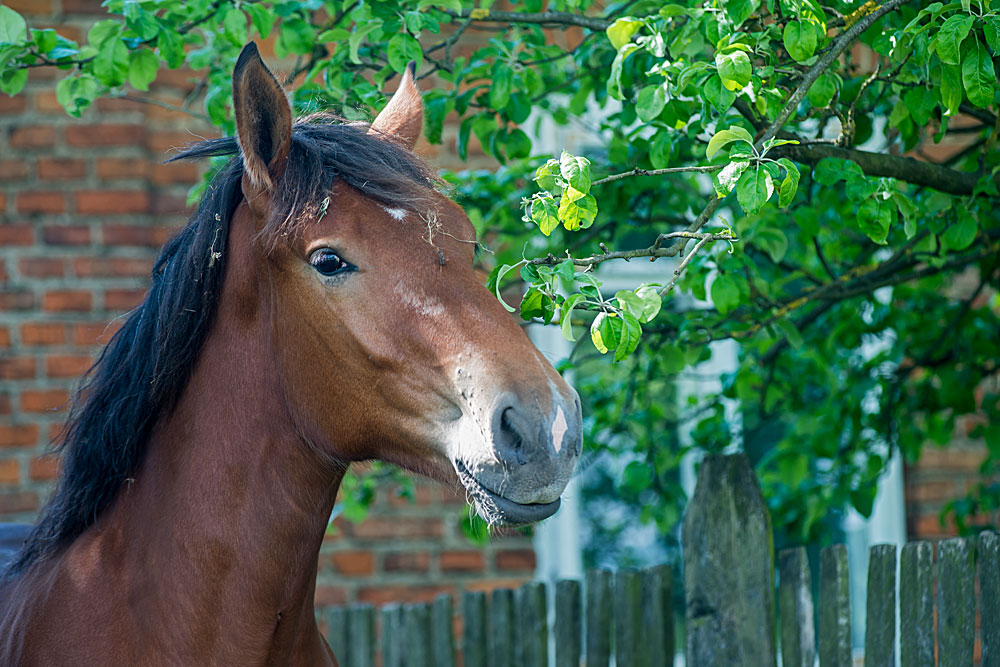 p0035 d413 07 lo res