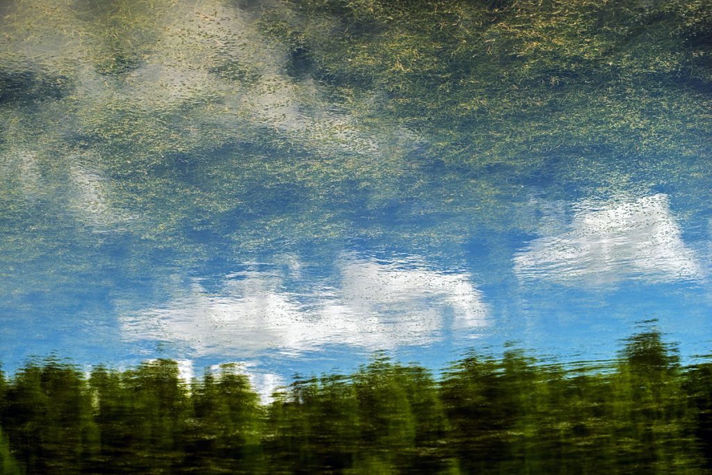 p0036 d413 12 lo res