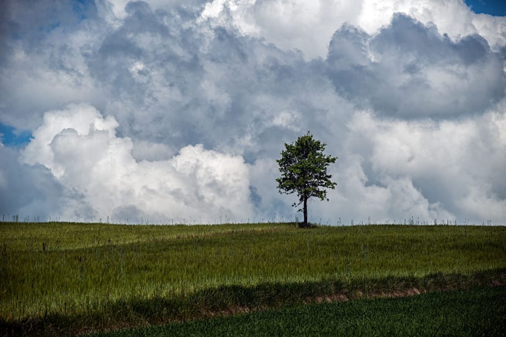 p0037 d413 23 lo res