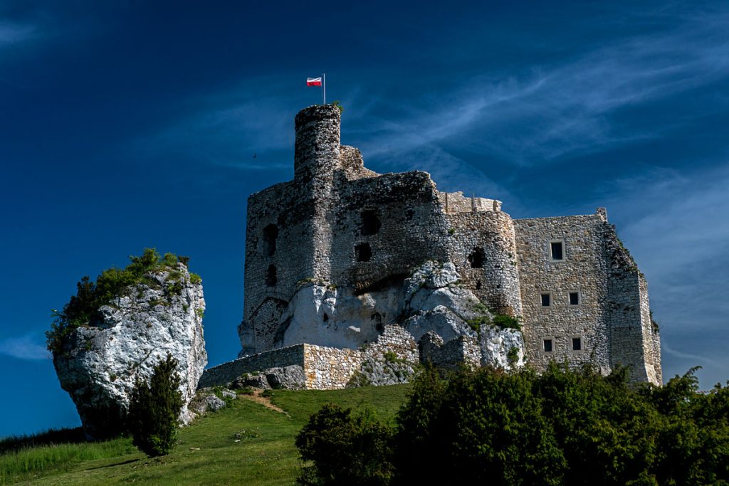 p0038 d414 02 lo res