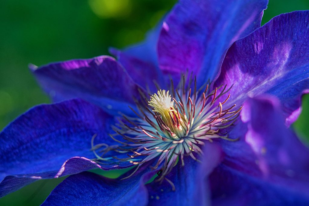 p0040 d416 22 lo res