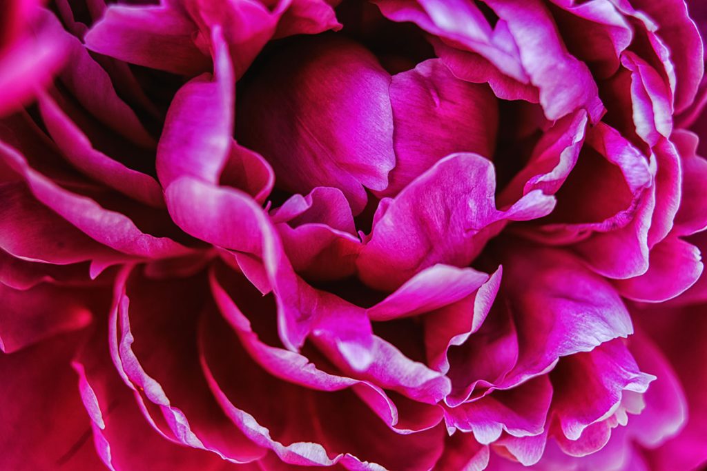 p0041 d416 31 lo res