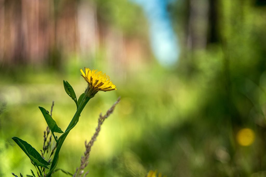 p0043 d418 05 lo res