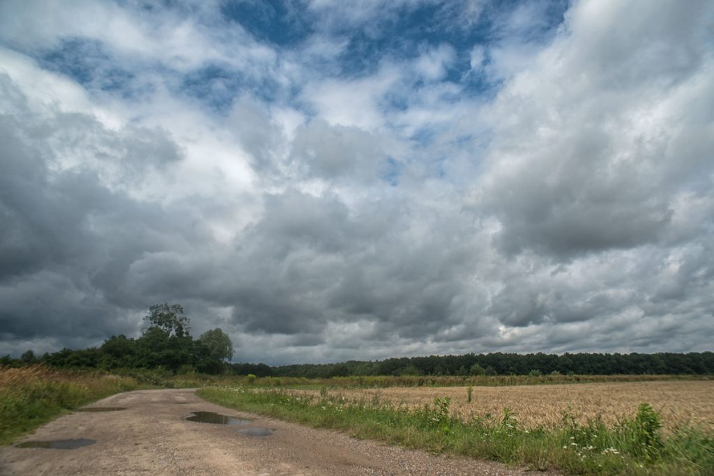 p0059 d432 21 lo res