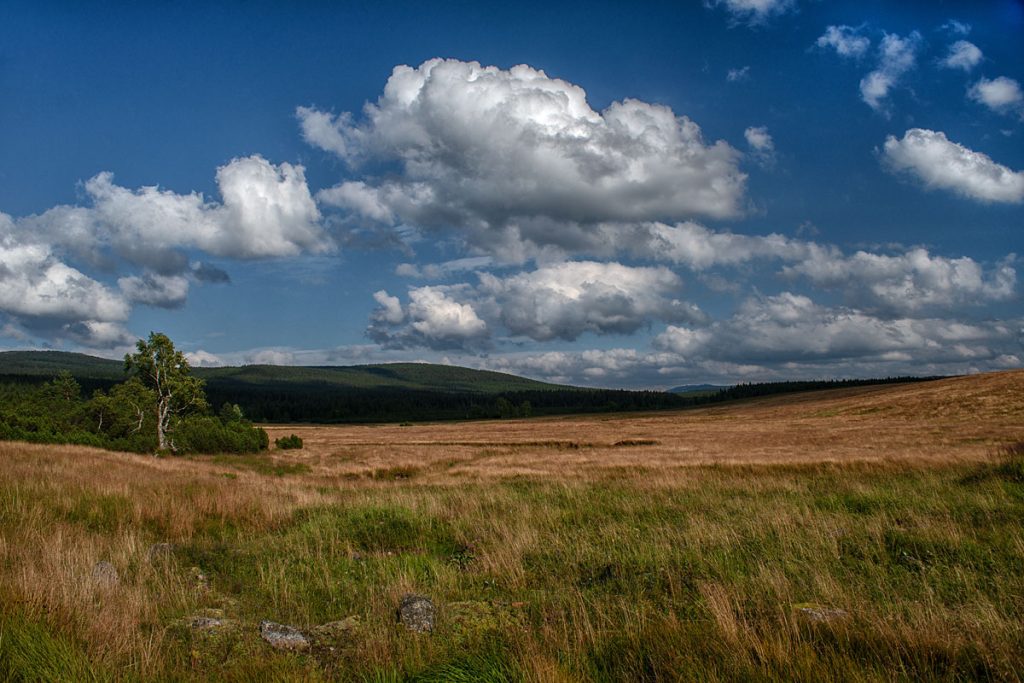 p0061 d435 45 lo res