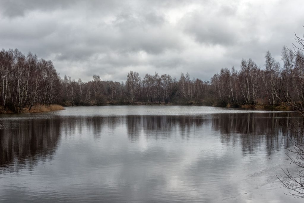 p0077 d458 11 lo res