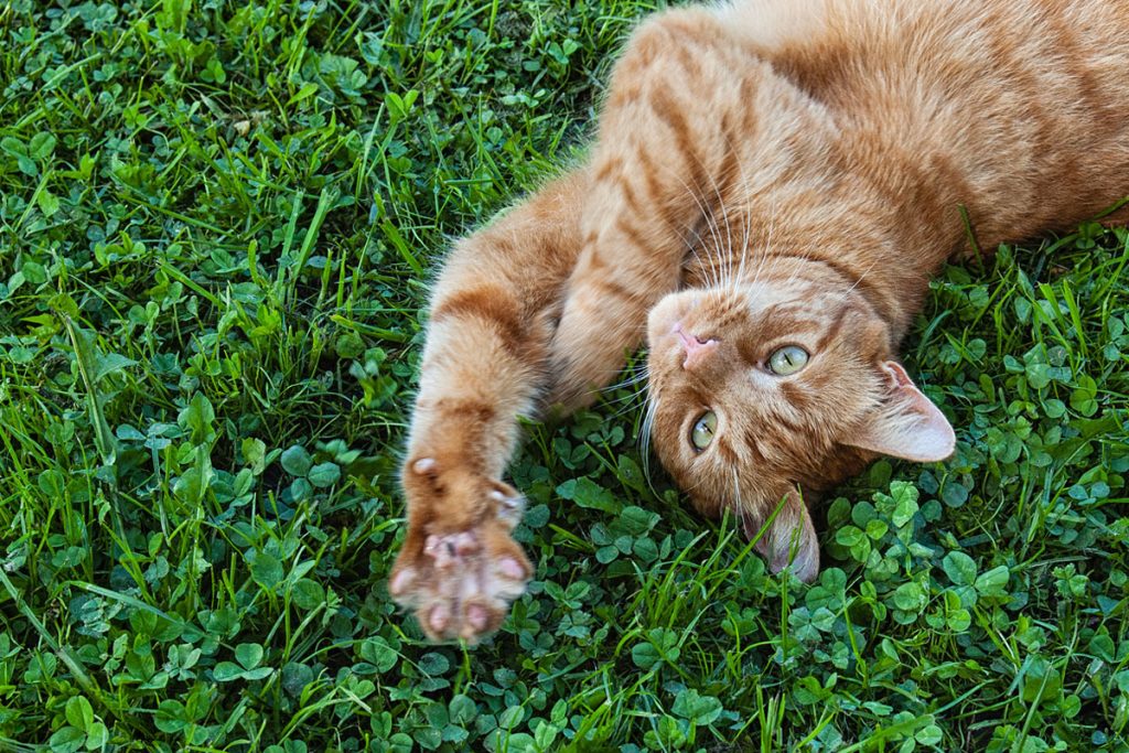 p0086 d147 72 lo res 2