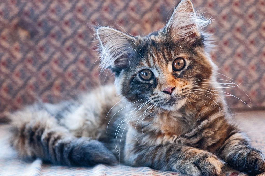 p0087 d157 21 lo res 3